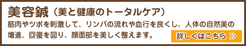 （京都市）みやはた鍼灸整骨院の美容鍼は、美と健康のトータルケア「人体の自然美は健康を基礎として成立する」というコンセプト。リンパの流れや血行を良くし、自然美の増進、顔面部を美しく整えます。JR京都線（西大路駅前）接骨院